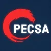 Pecsa IT Solutions