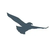Dew-Point International Ltd.