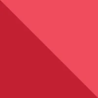 The Bandanna Company