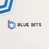 Blue Bits Team Blue Bits Team