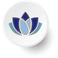 Lotus Fiduciary Services, Inc.