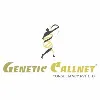 Genetic Callnet Consultancy Pvt Ltd. Genetic Callnet Consultancy Pvt Ltd.