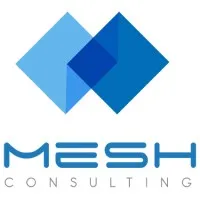 Mesh Consulting