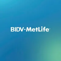 BIDV MetLife email format