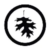 Black Oak Creative