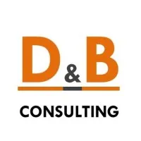 D&B CONSULTING