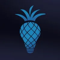 The Pineapple Agency