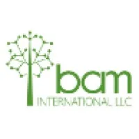 BAM International LLC