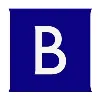 Brunswick Investor Brand