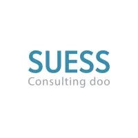 SUESS Consulting SUESS Consulting