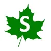 Singular Solutions Group Singular Solutions Group