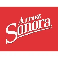 AGROINDUSTRIAL MOLINO SONORA AP SAS email format