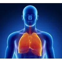 GreenLine Respiratory Protection 