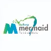 Gallery Mermaid Technical Works LLC Gallery Mermaid Technical Works LLC