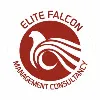 Elite Falcon Management Consultancy Elite Falcon Management Consultancy