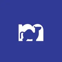 CAMELSOFT LLC