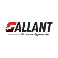 GALLANT Consultant