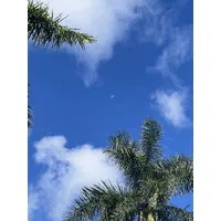 RecovX Health