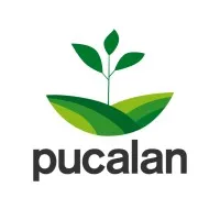 Servicios Pucalan