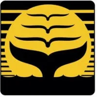 Downhome Incorporated Downhome Incorporated