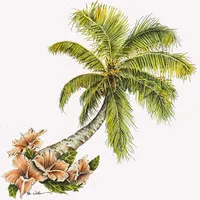 Caribbean Trademark Services Caribbean Trademark Services