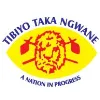 Tibiyo Taka Ngwane Tibiyo Taka Ngwane