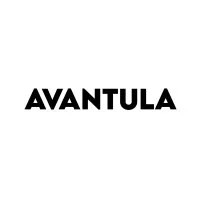Avantula | Creative Marketing Agency