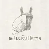 The Lucky Llama The Lucky Llama