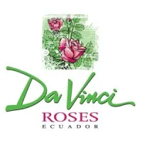 Davinciroses