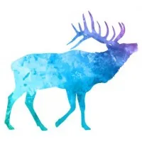 Fenian Capital Strategies Fenian Capital Strategies