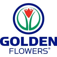 Golden Flowers