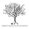 WFS Wholesale WFS Wholesale