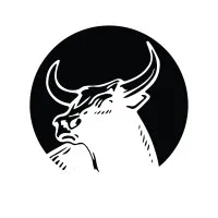 Black Bull Capital Partners