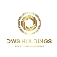 DWS Holdings Inc