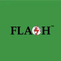 Flash Components email format