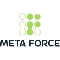 Meta Force IT