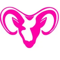 Capricorn Retail Advisors