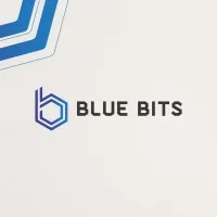 Blue Bits Team
