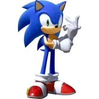 Sonic Surveys Inc Sonic Surveys Inc