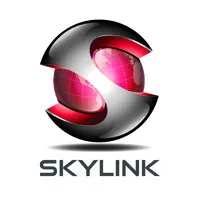 SKYLINK AUTO PTE LTD