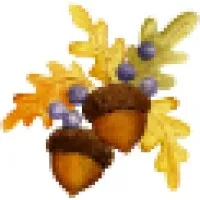 Oaks & Acorns
