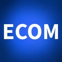 Ecom Solution Services
