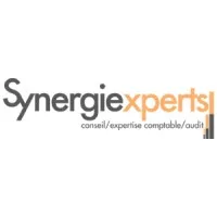 SYNERGIE EXPERTS