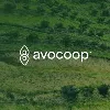Avocoop SL Avocoop SL