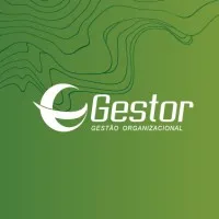 Gestor Consultoria