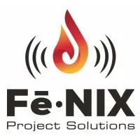 Fē•NIX Project Solutions LLC