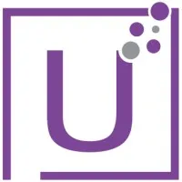 US Software Professionals Inc.