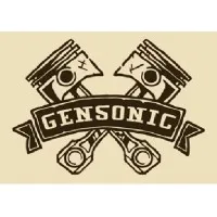 Team Gensonic Team Gensonic