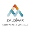 Minera Zaldívar