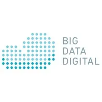 Big Data Digital - Salesforce Consulting Partner Big Data Digital - Salesforce Consulting Partner
